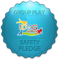 Safety Pledge Logo