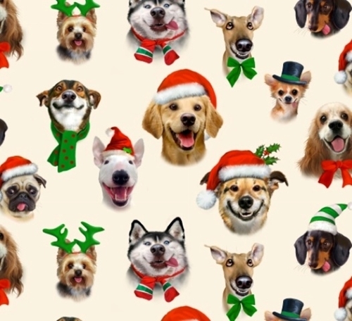 Six Ways to Help Dogs This Holiday Season