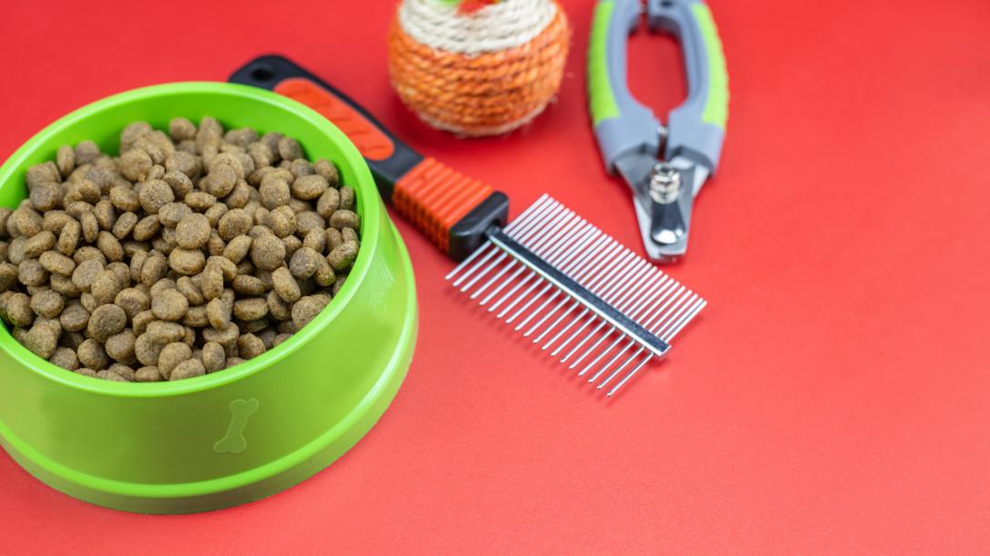 Dry food in bowls, toy, comb, and leashes for pets