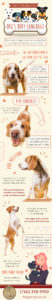 ways of reading your dogs body language