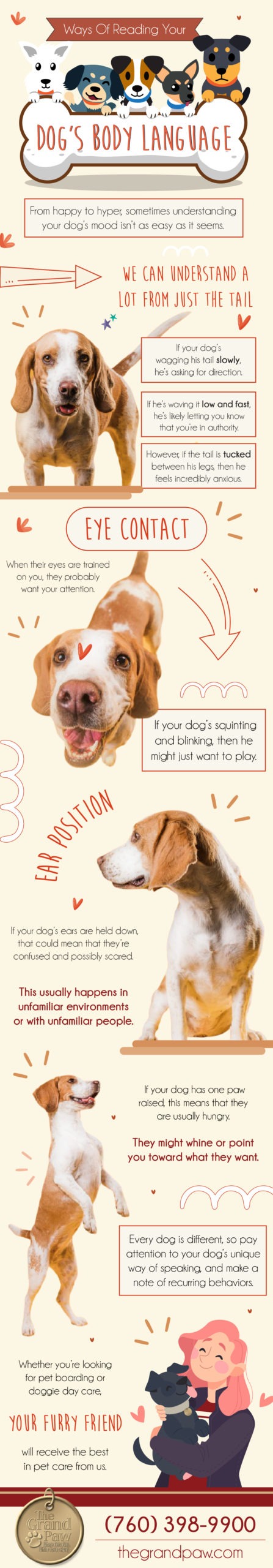 ways of reading your dogs body language