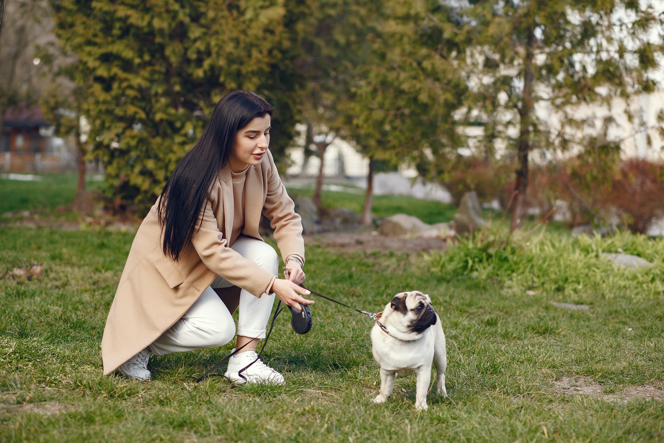 A woman in a brown coat holding her pug’s leash