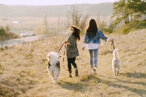 Two women walking their dogs on a field