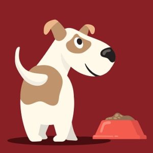 animated dog with food