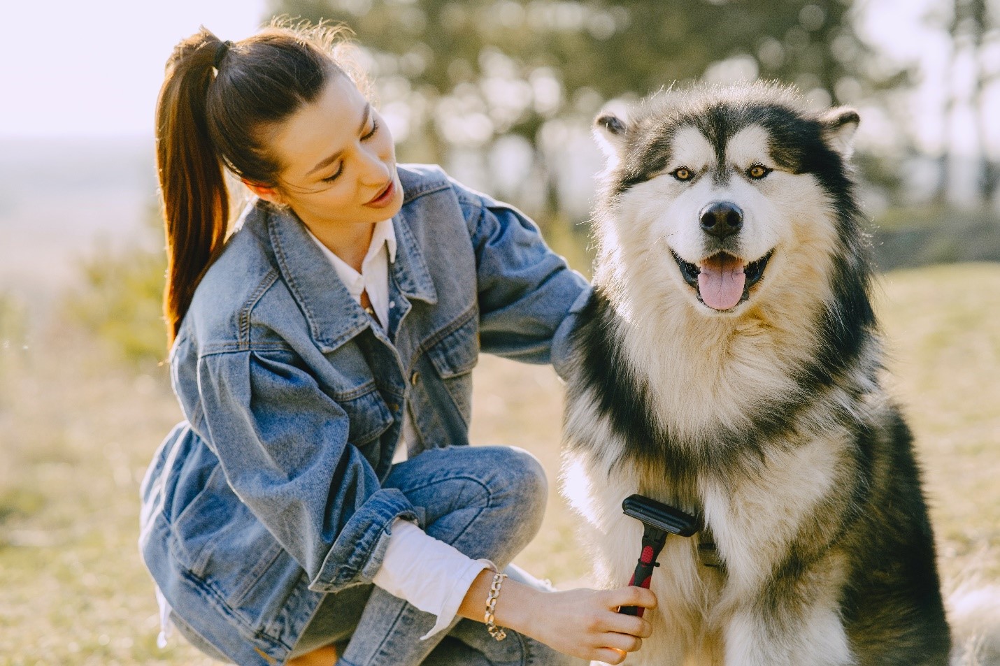 Woman in a denim jacket brushing her husky