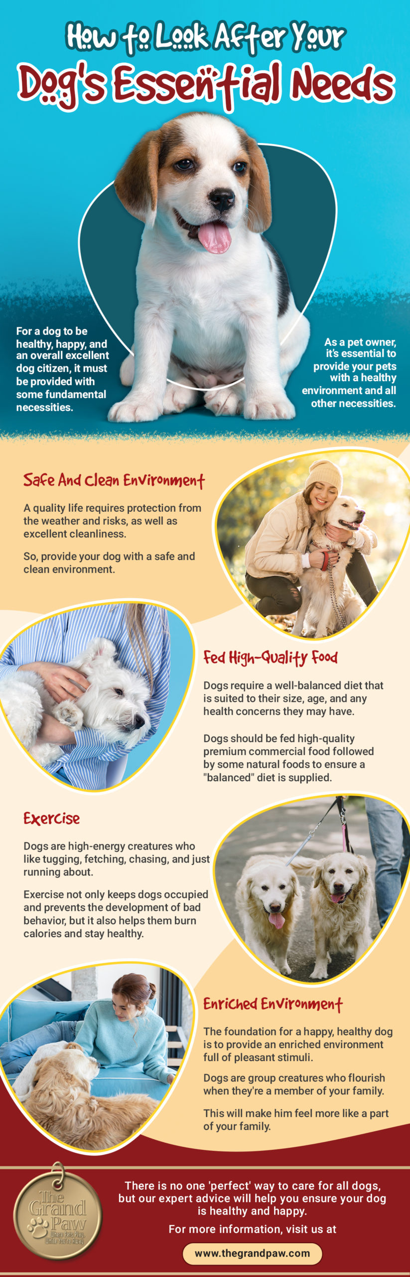 how to look after your dog's essential needs