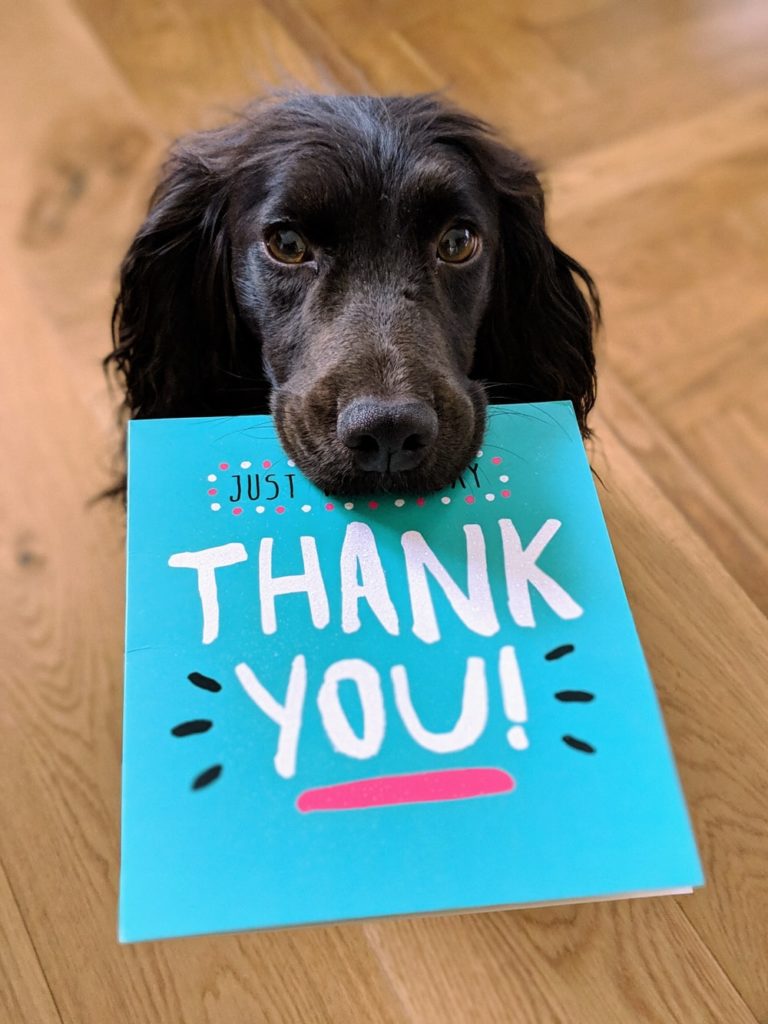 A dog holding a greeting card