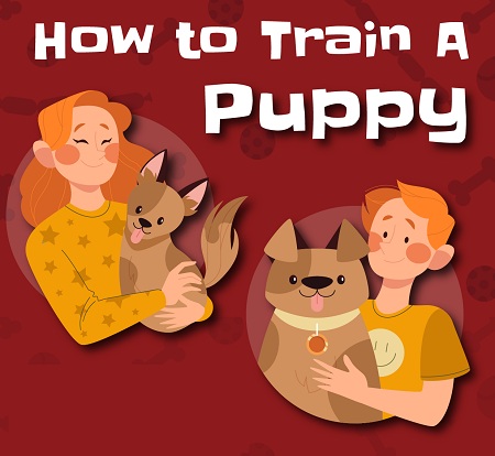 How To Train A Puppy