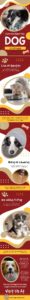 Common Signs Your Dog is Unhappy