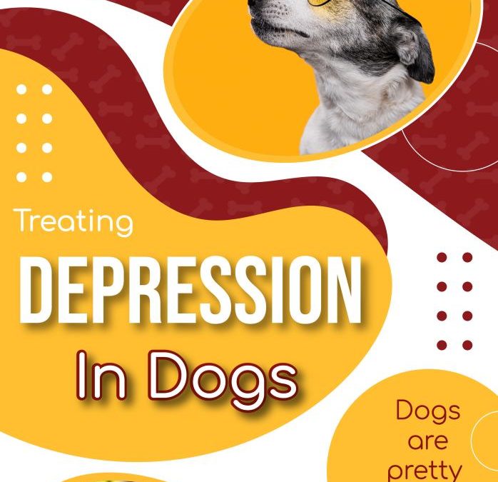 Treating Depression in Dogs