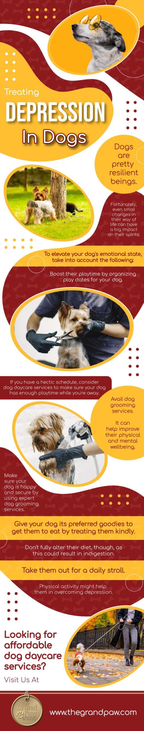 Treating Depression in Dogs