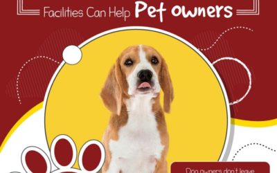 How Dog Daycare Facilities Can Help Pet Owners
