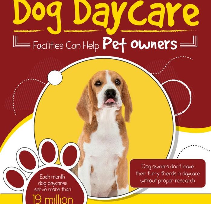 How Dog Daycare Facilities Can Help Pet Owners