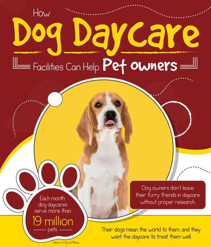 How Dog Daycare Facilities Can Help Pet Owners The Grand Paw