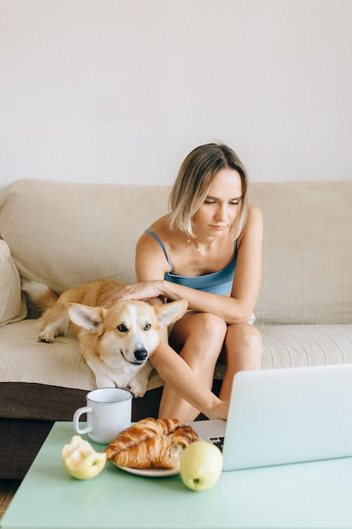 a woman on her laptop while petting her dog 