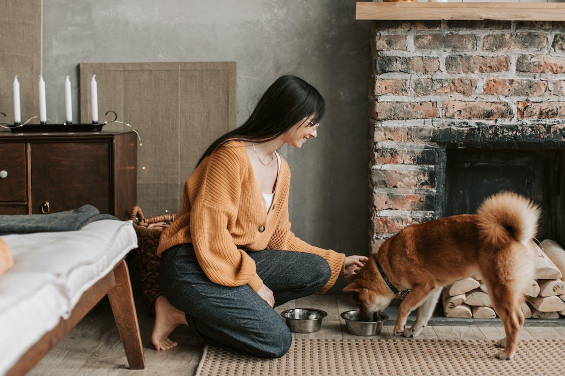 Picture of a woman feeding a dog