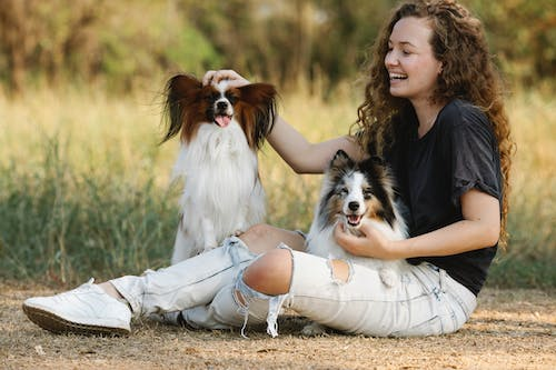 3 Ways to Be a Good Pet Parent  in Rancho Mirage
