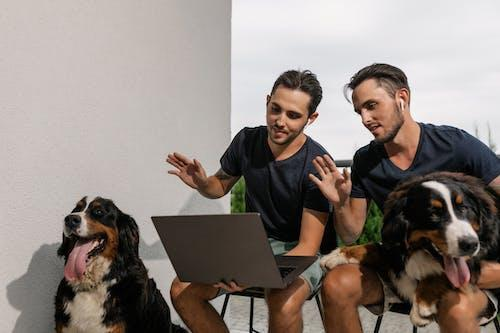Two men with two dogs working on a laptop