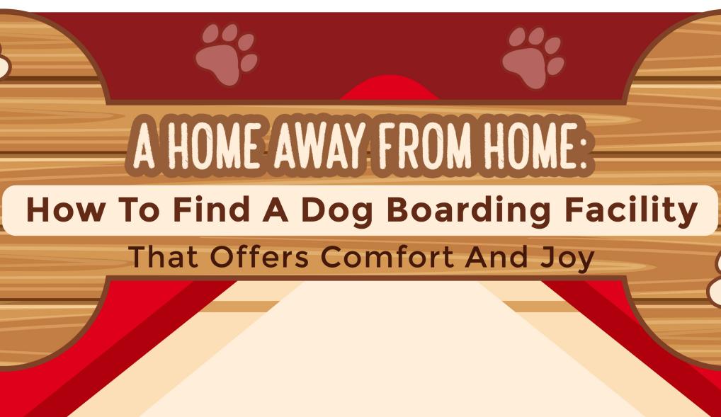 A Home Away From Home: How To Find A Dog Boarding Facility That Offers Comfort And Joy