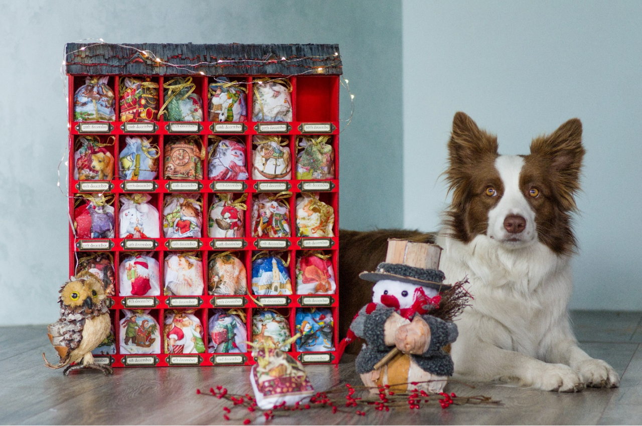 Dog Boarding Packing Checklist A Guide for Palm Desert Dog Owners