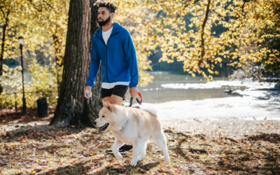 What’s Included in Pet Accommodations at The Grand Paw