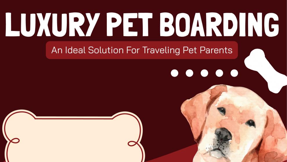 LUXURY PET BOARDING – An Ideal Solution For Traveling Pet Parents