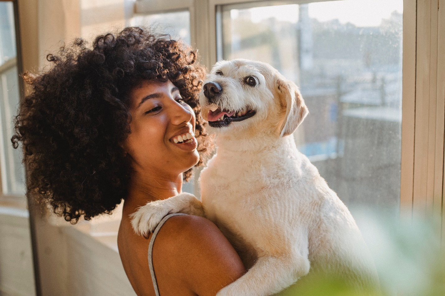Pet owner and dog both look happy on reuniting after a day at a dog daycare. Even owners of dogs with separation anxiety can understand the importance of dog daycare in keeping dogs safe and healthy.