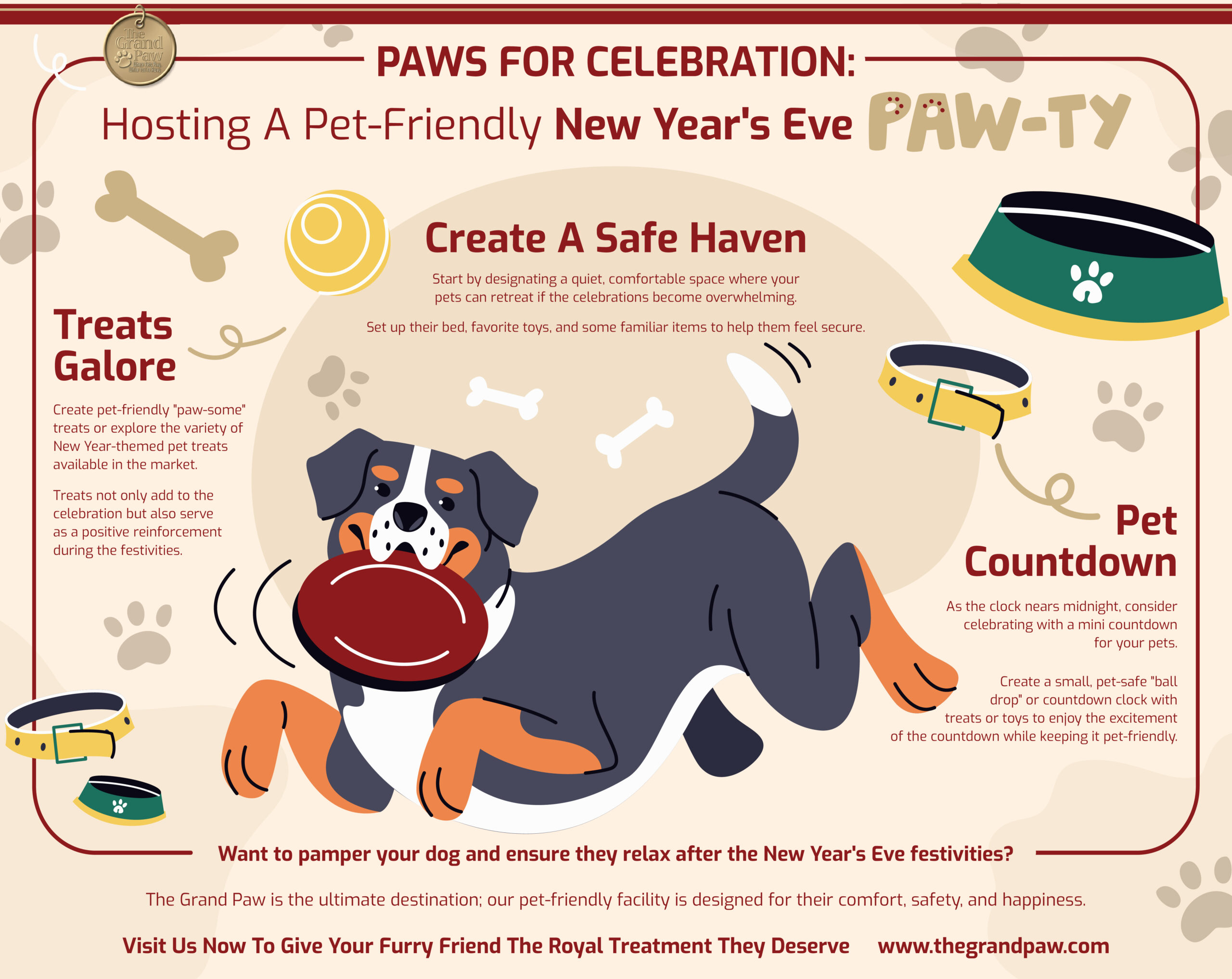 An  infographic describing how to celebrate new year's eve with your pets