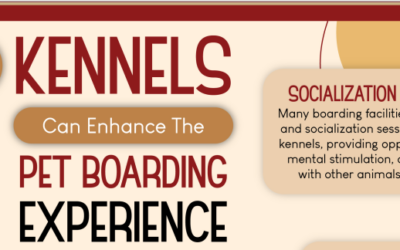 How Kennels Can enhance the Pet boarding experience