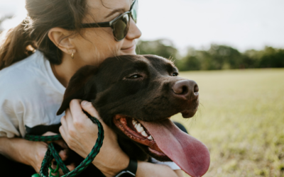 Incorporating Mindfulness Practices into Your Daily Routine with Your Dog
