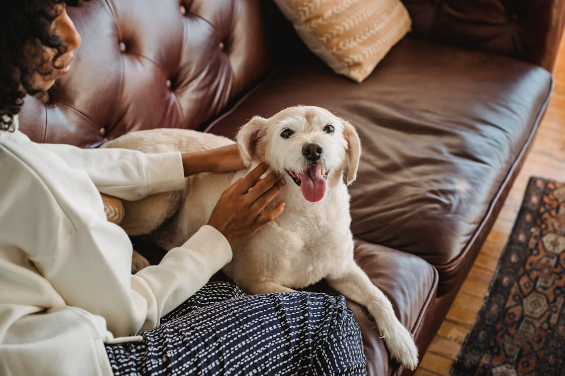A lady cuddling with a dog on a couch.