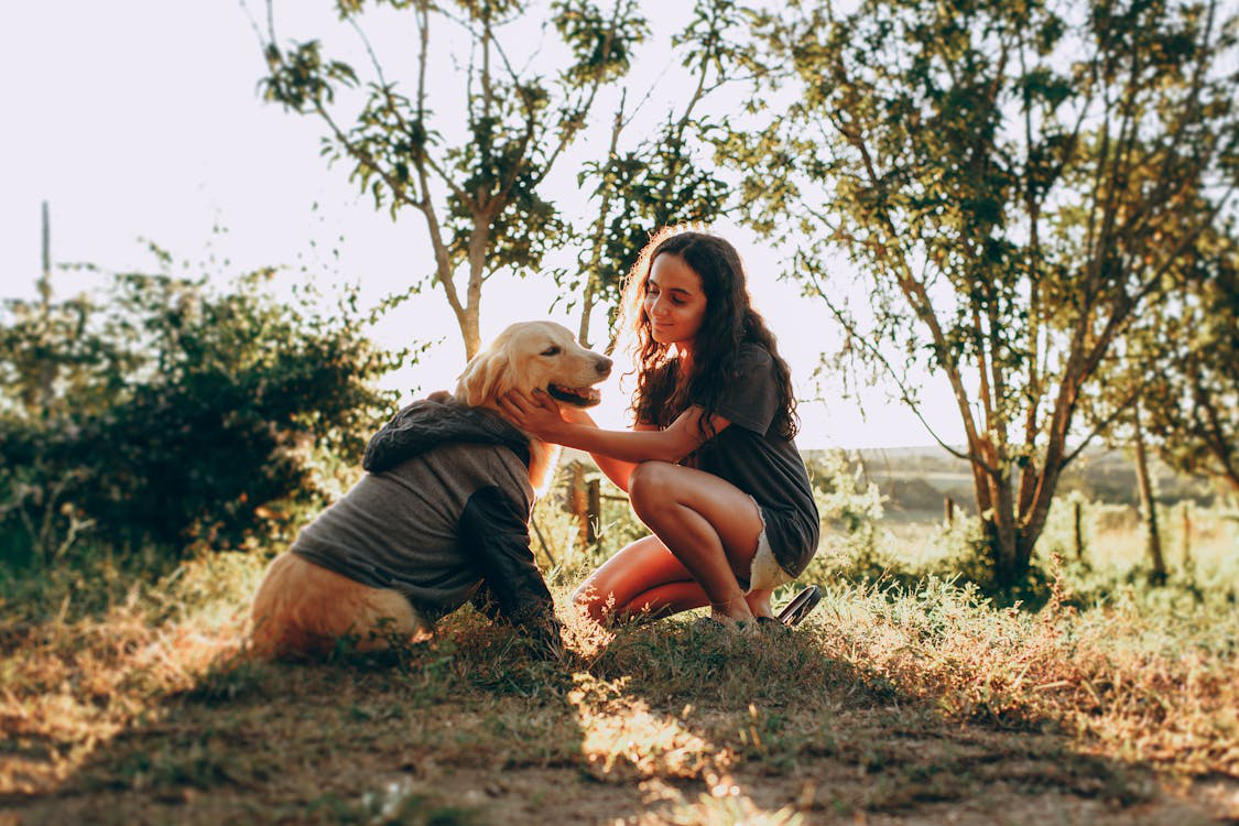 Woman caressing a dog