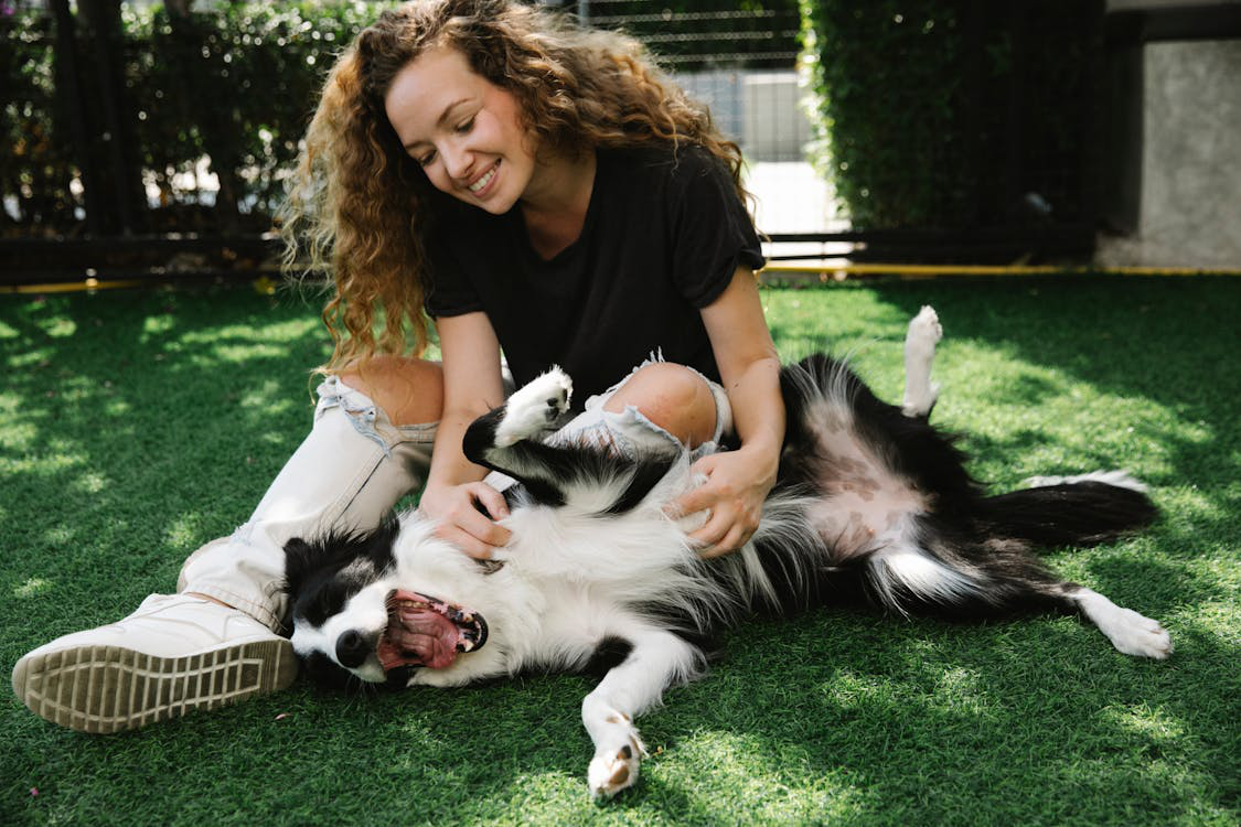 Smiling woman playing with Border Collie on the lawn.