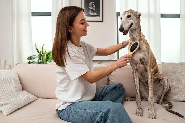 A woman brushing a dog