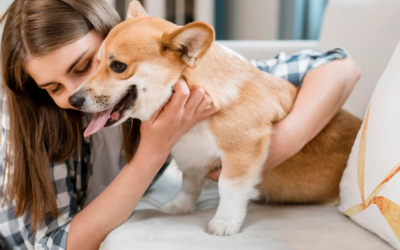 How to Tell If Your Dog Is Enjoying Their Boarding Experience