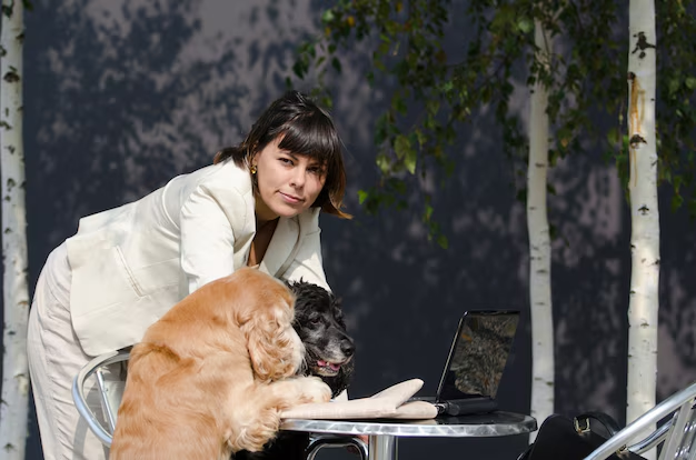 The Science of Playtime: How Dog Daycare Stimulates Your Pup’s Brain