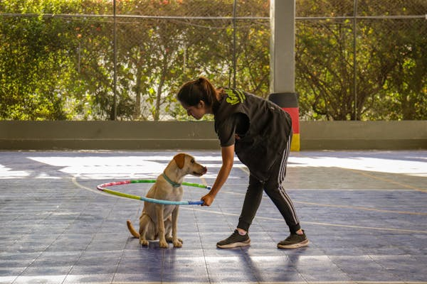 A professional playing with a dog using a hoop during daycare activities.