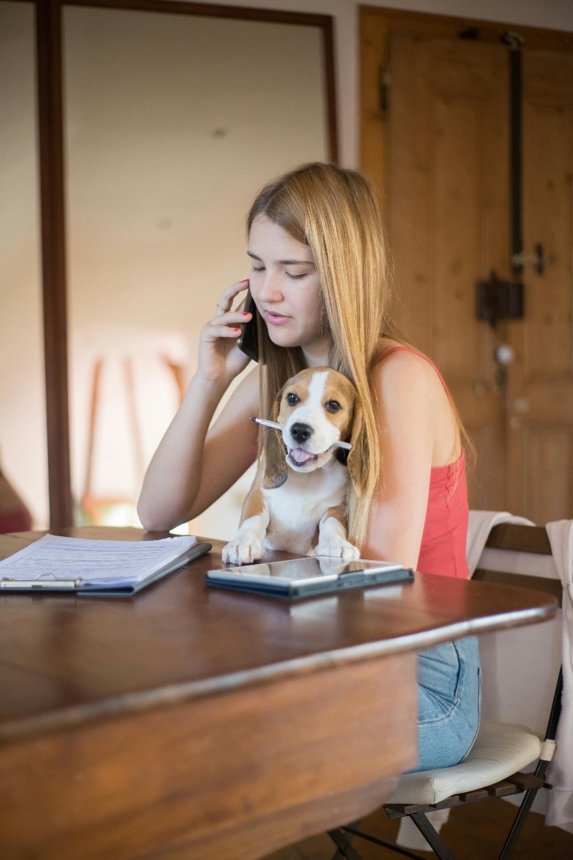 A picture of a person on a phone call with a dog sitting on their lap