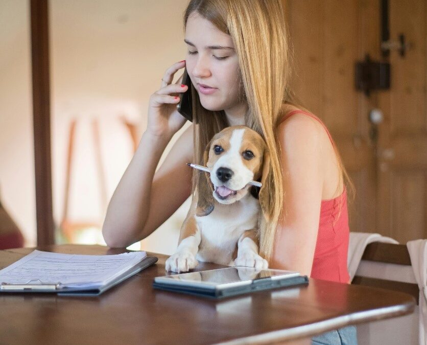 Ask a Dog Boarding Expert: Your Burning Questions Answered