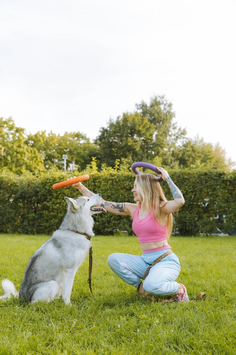 Enrichment Activities That Calm and Comfort Nervous Dog Daycare Guests