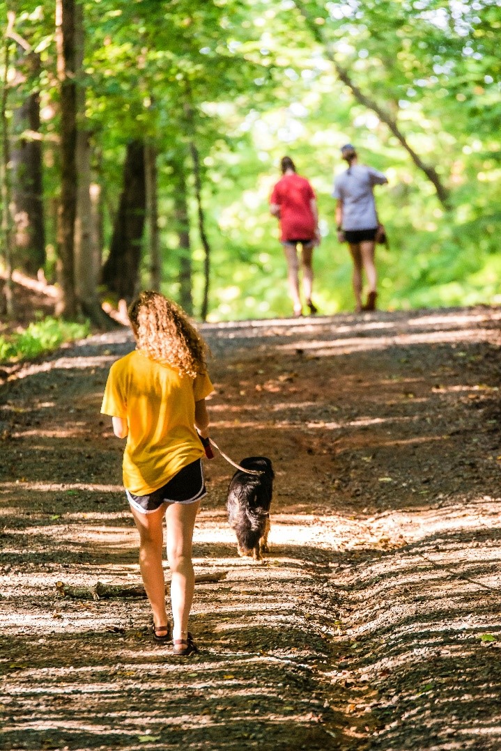 The Surprising Fitness Benefits of Dog Daycare