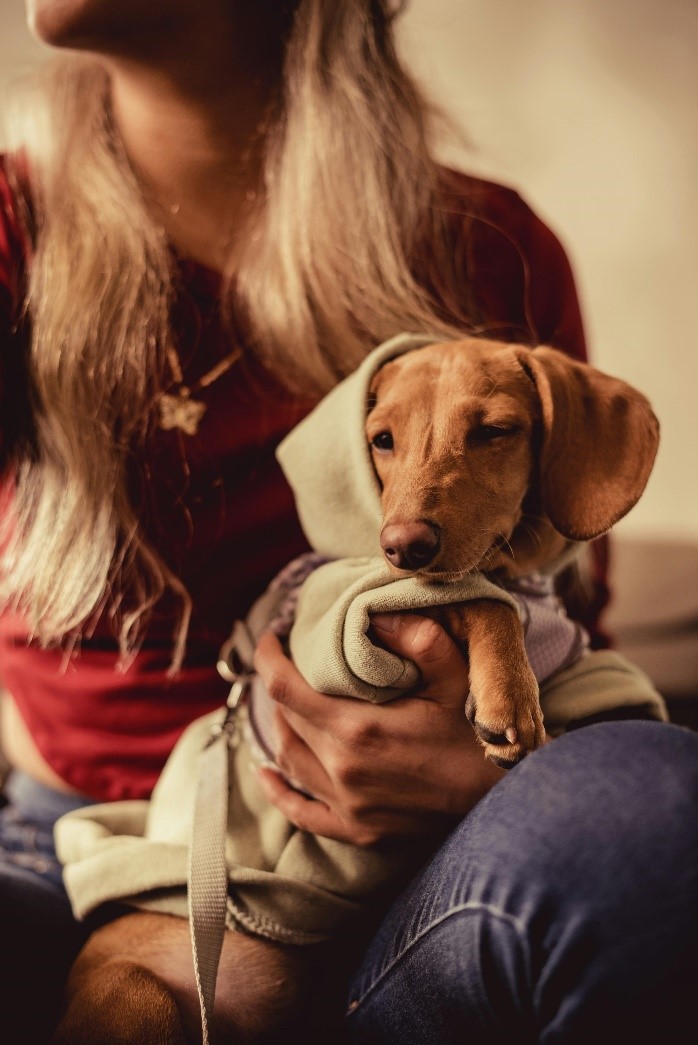 A picture of a person holding a dog