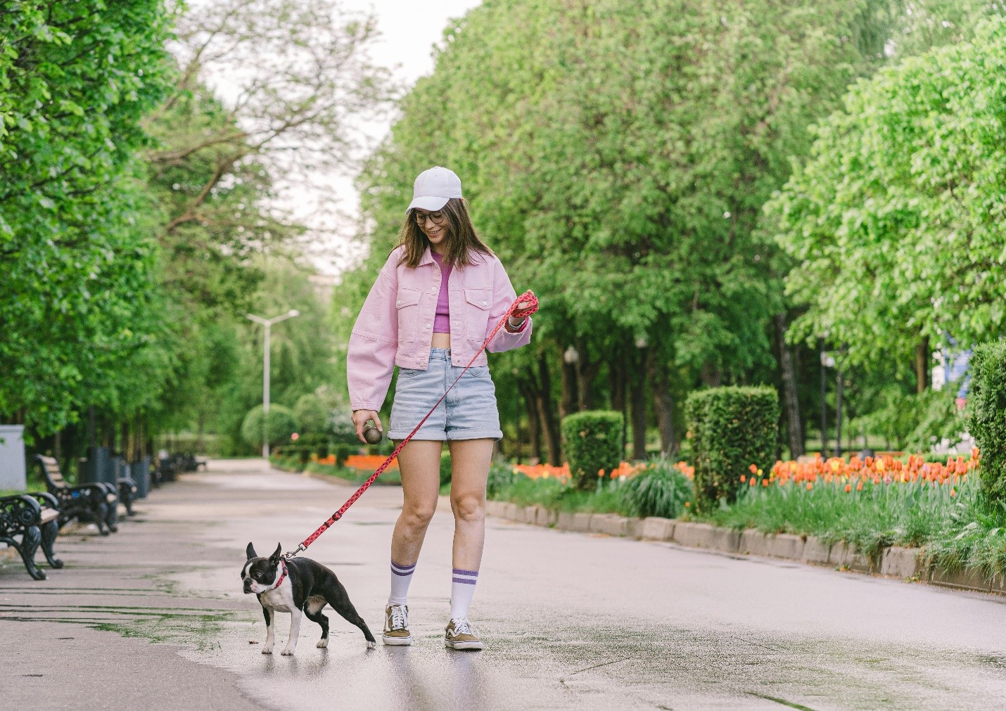 A picture of a person walking their pet dog