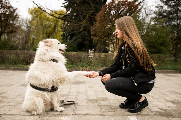 A girl happily playing with her dog, who is following all commands after attending dog daycare