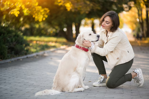 A girl lovingly petting her dog before dropping it off at dog daycare.