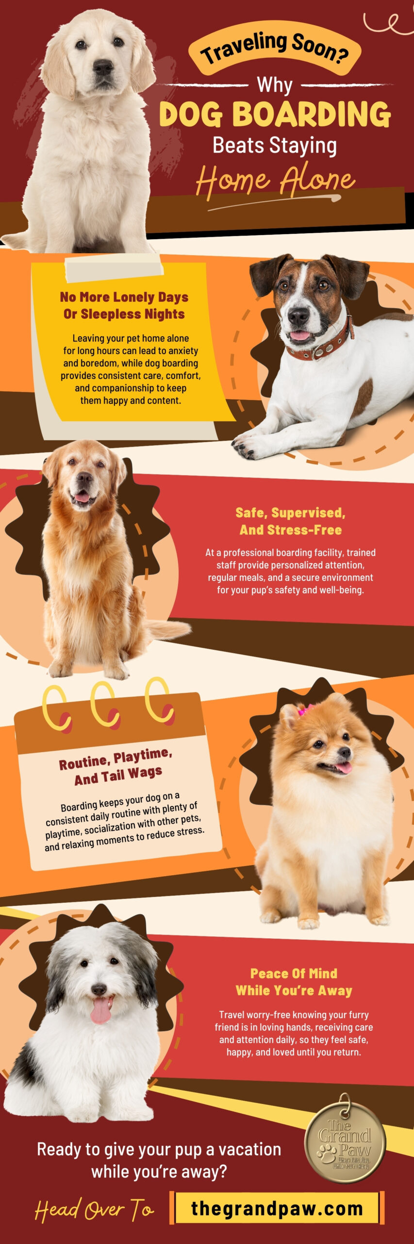 Dog Boarding Beats Staying Home Alone