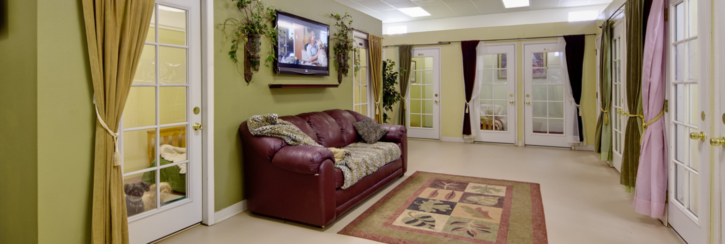 An image of The Grandpaw facility