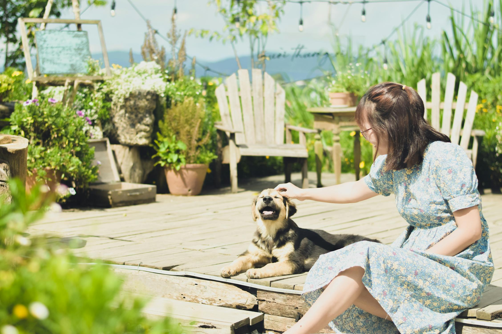 a person petting a dog while sitting under the sun
