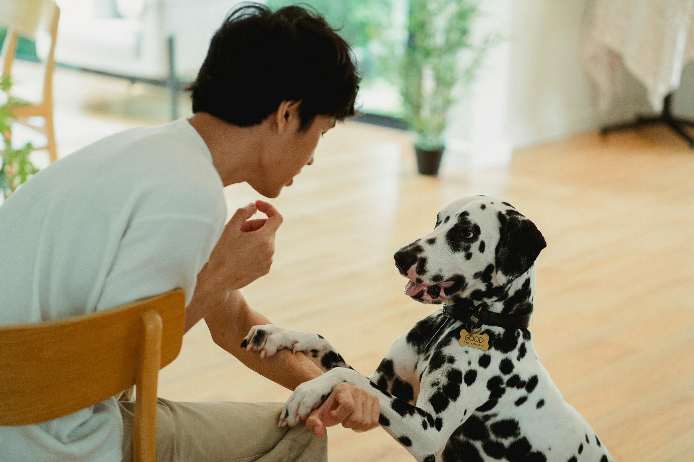 A picture of a person interacting with a dog