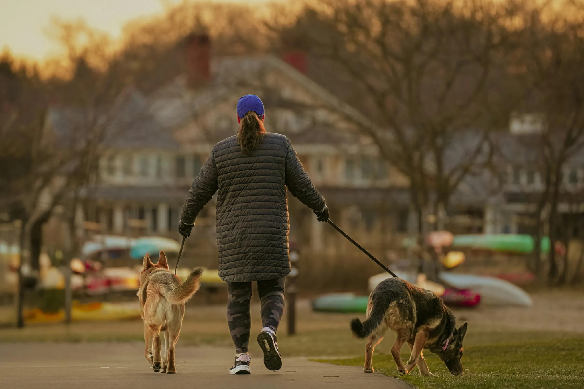A person walking two dogs on leashes down a paved path.